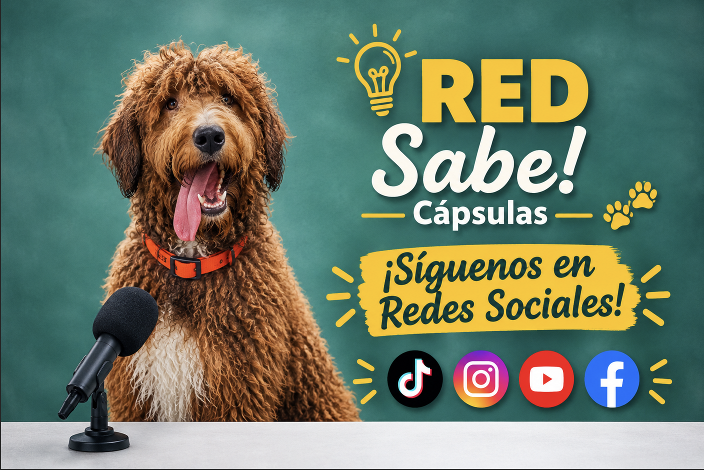 Red Sabe Social - Bocalán El Salvador